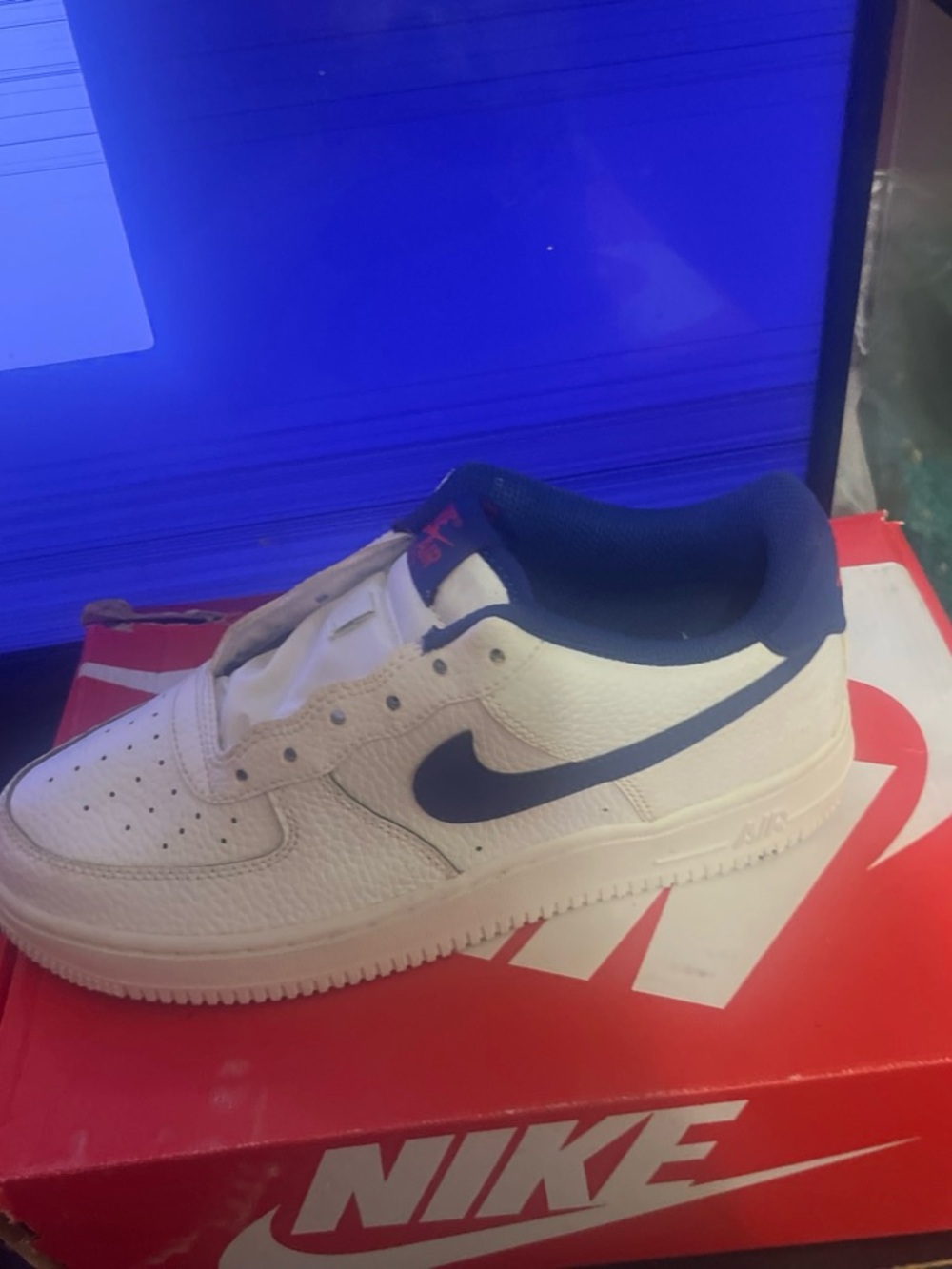 Nike Kids White and Navy Low-Top Sneaker